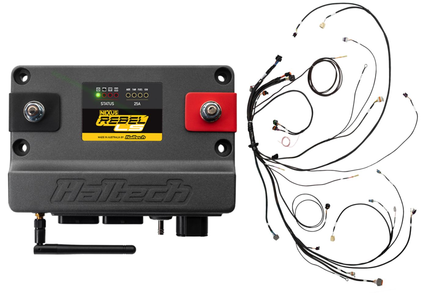 Haltech Nexus Rebel LS ECU + Terminated Harness Kit (Gen III, cable throttle, EV1), part HT-220201
